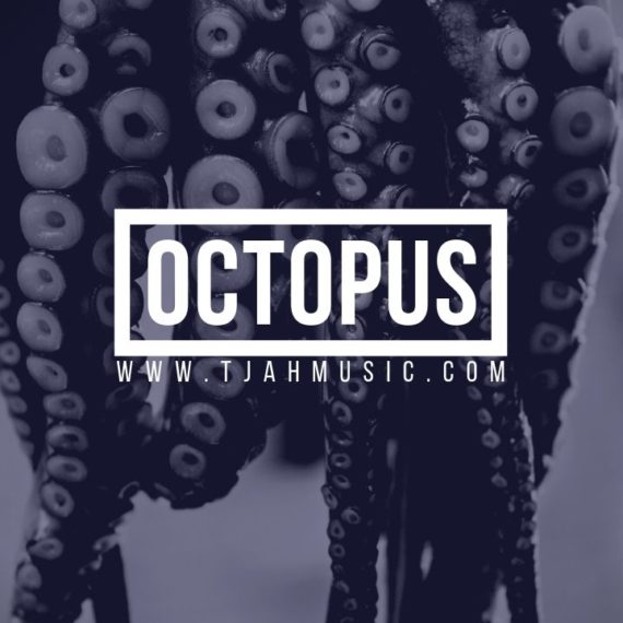 [Download Octopus instrumental] T-JAH MUSIC - French Beatmaker - Reggae ...